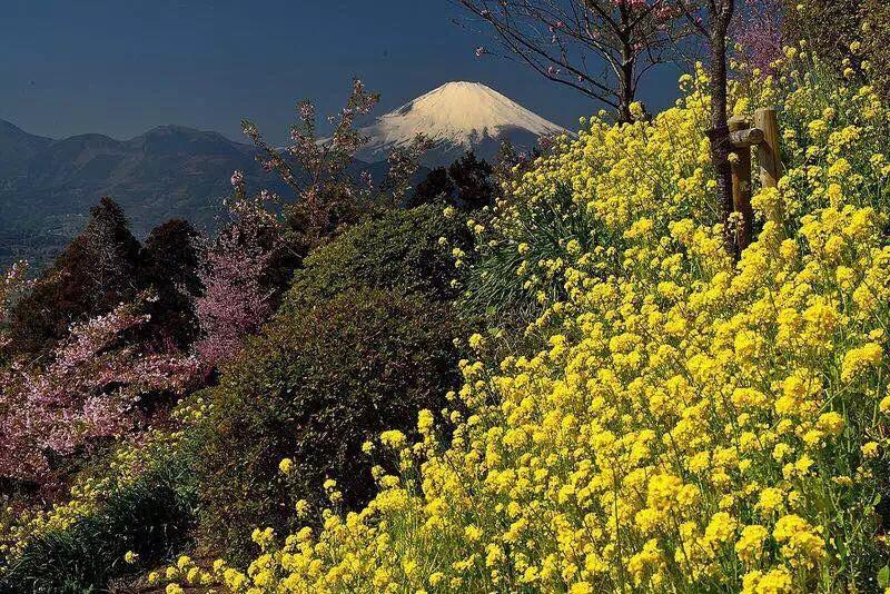 Hakone Pacific Hotell Exteriör bild